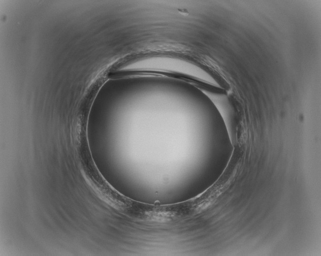 X0000081450448200701261917