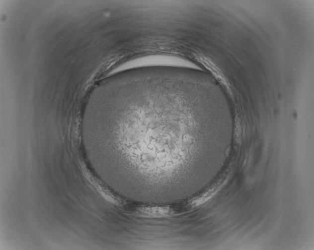 X0000081450449200701261917