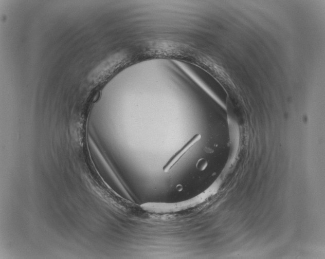 X0000081450450200701261917