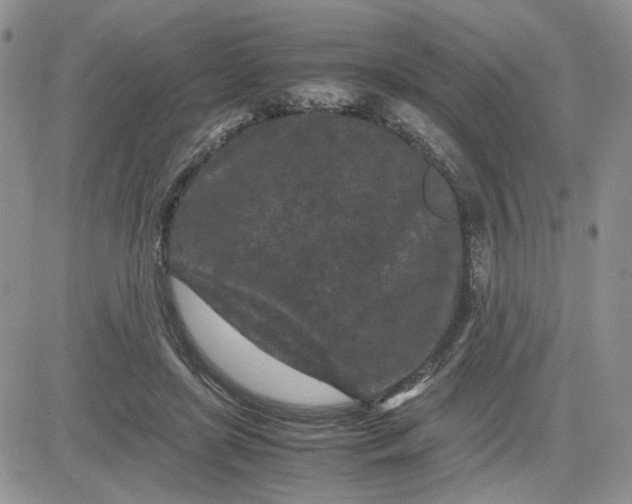 X0000081450451200701261917