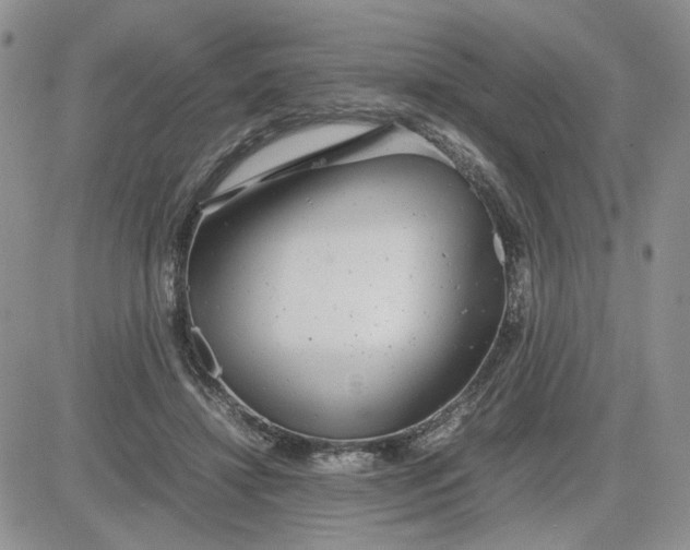 X0000081450452200701261917