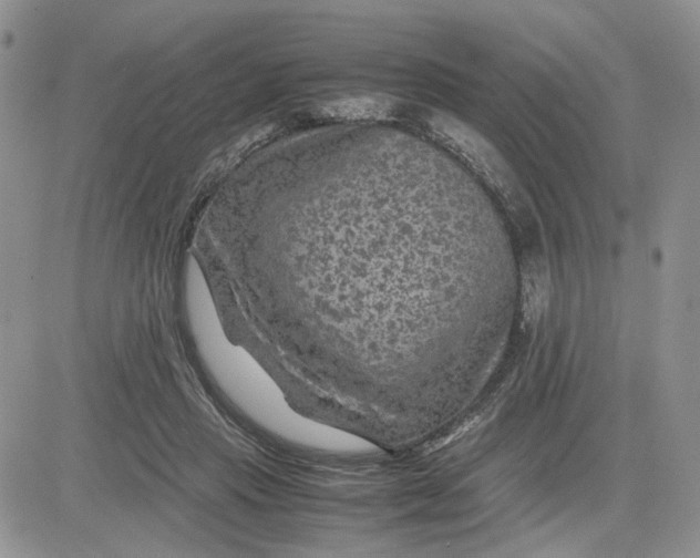 X0000081450453200701261917