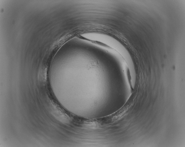 X0000081450454200701261917