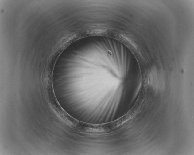 X0000081450455200701261917