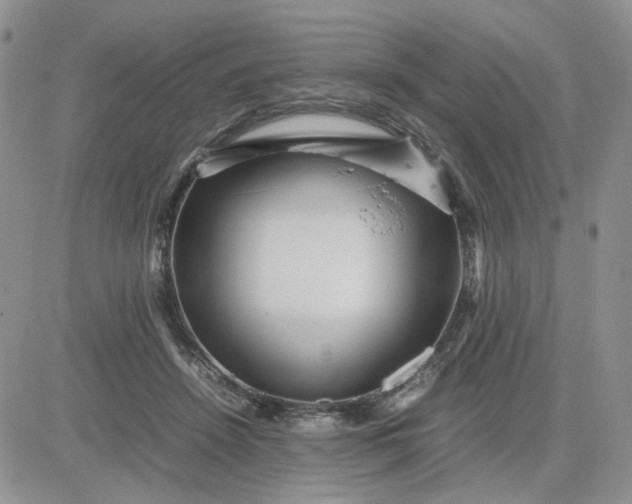 X0000081450456200701261917