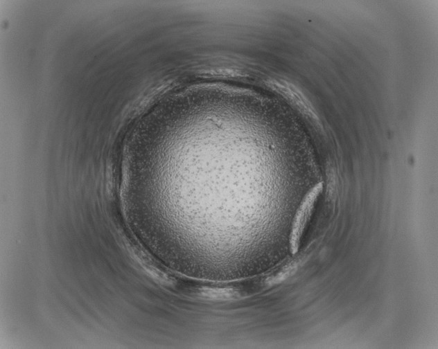 X0000081450457200701261917