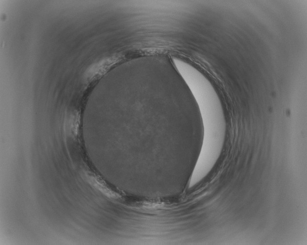 X0000081450458200701261917