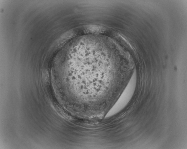 X0000081450459200701261917