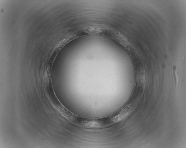 X0000081450460200701261917