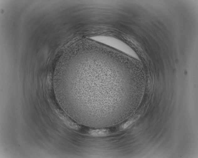 X0000081450461200701261917