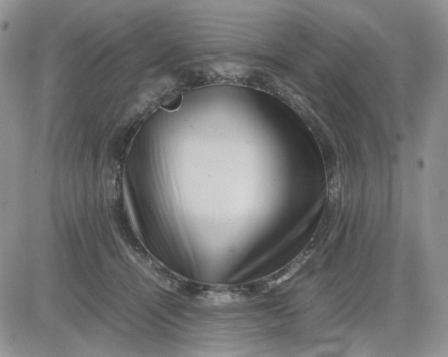 X0000081450464200701261917