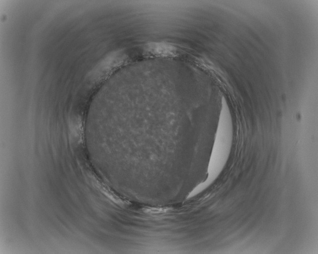 X0000081450465200701261917