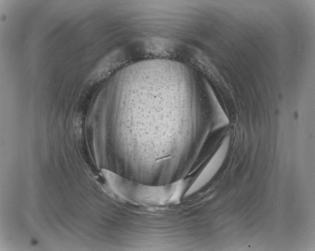 X0000081450466200701261917