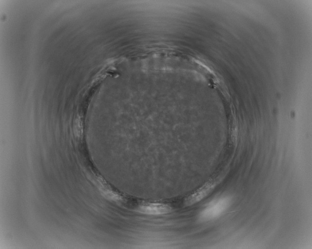 X0000081450467200701261917