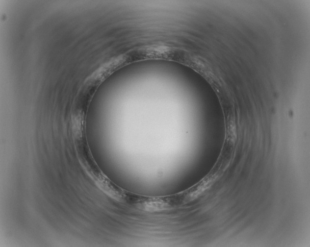 X0000081450468200701261917