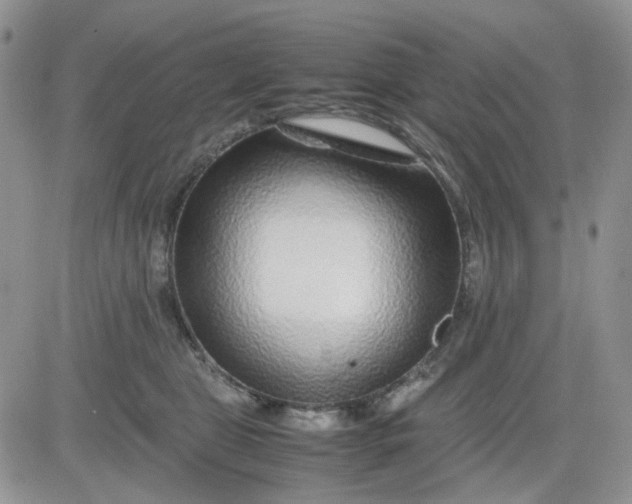 X0000081450469200701261917