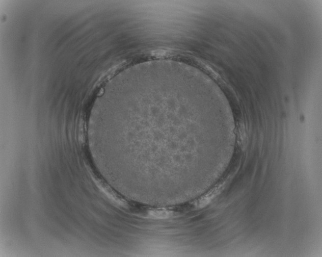 X0000081450470200701261917