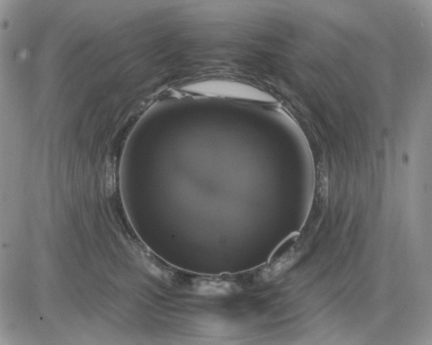 X0000081450471200701261917