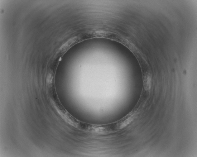 X0000081450472200701261917