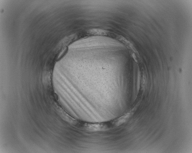 X0000081450473200701261917