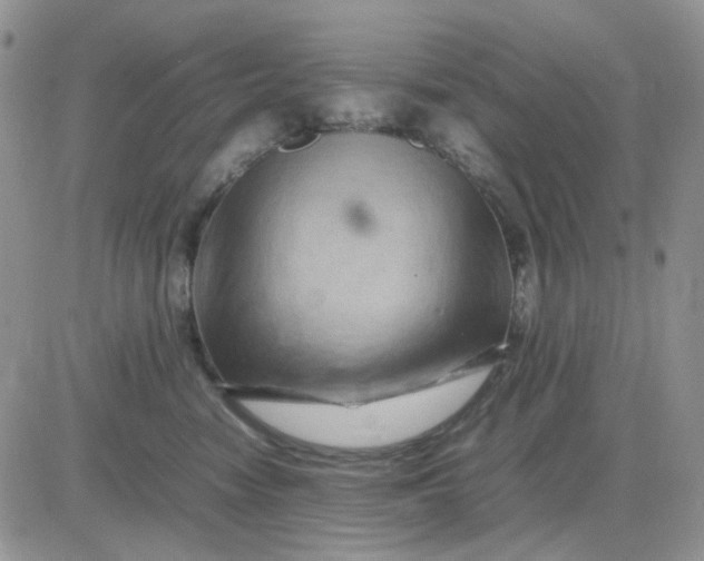 X0000081450474200701261917