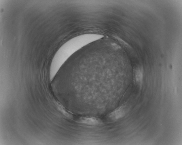 X0000081450475200701261917