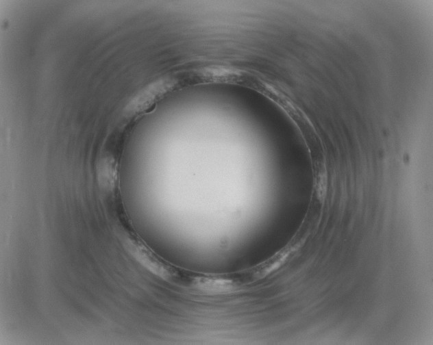 X0000081450476200701261917