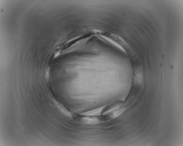 X0000081450477200701261917