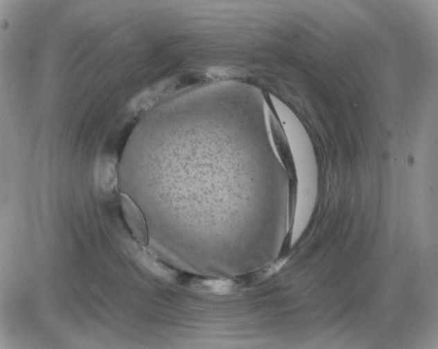 X0000081450478200701261917