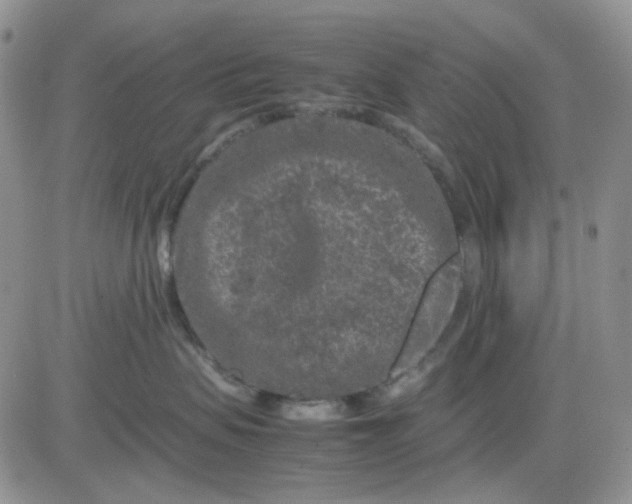 X0000081450479200701261917