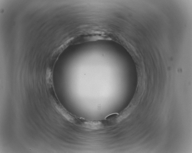 X0000081450480200701261917