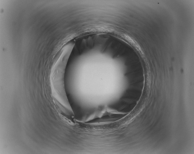 X0000081450481200701261916