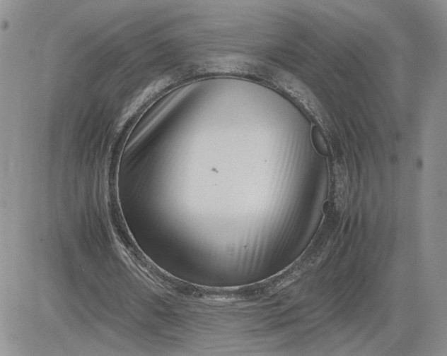 X0000081450482200701261916