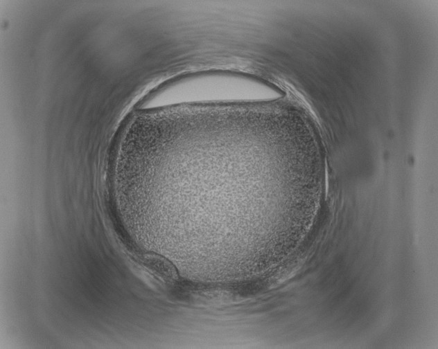 X0000081450483200701261916