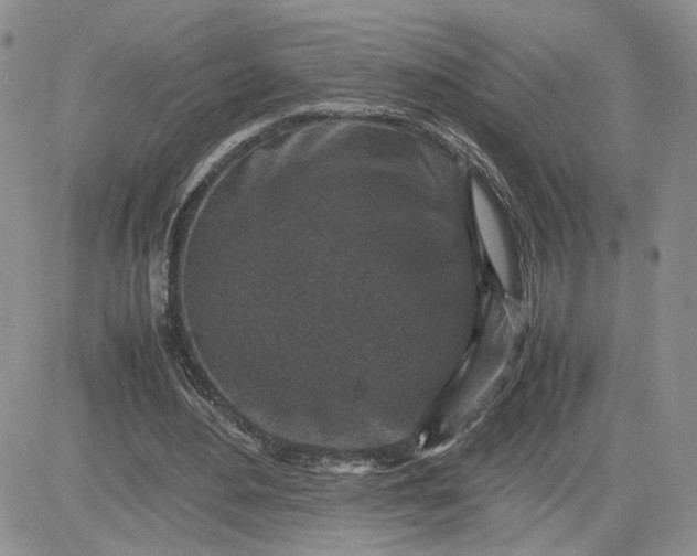 X0000081450484200701261916