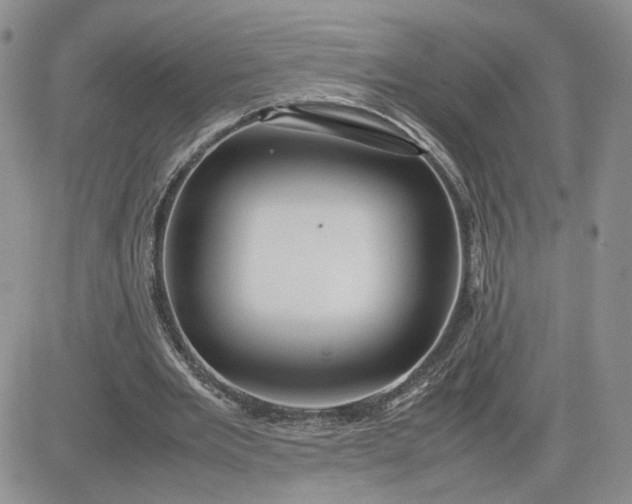 X0000081450485200701261916