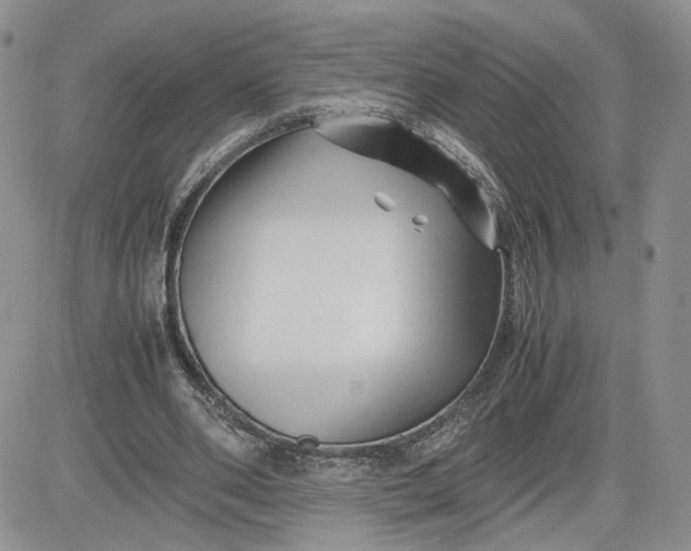 X0000081450486200701261916