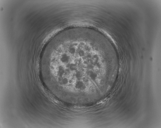 X0000081450487200701261916