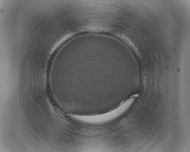 X0000081450488200701261916