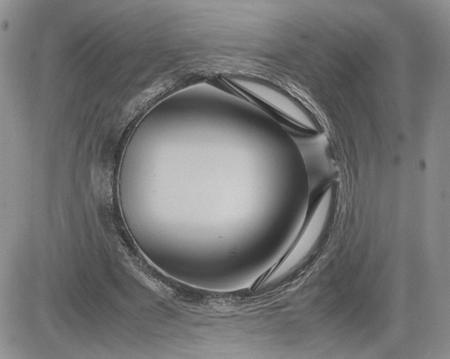 X0000081450489200701261916