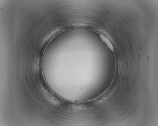 X0000081450490200701261916