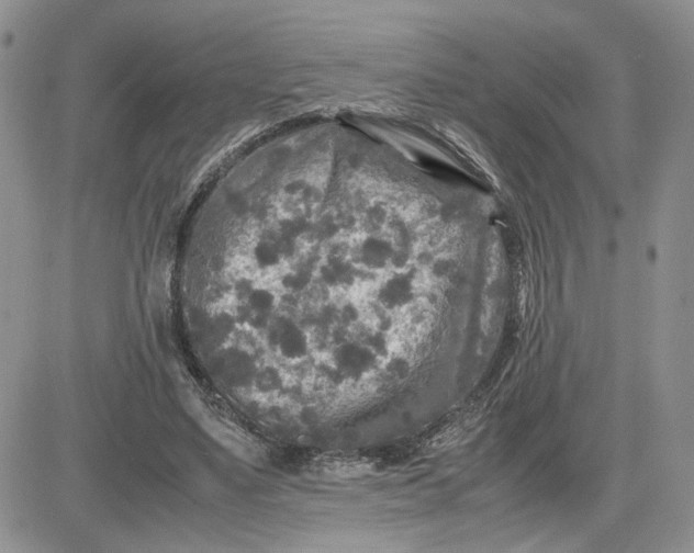 X0000081450491200701261916