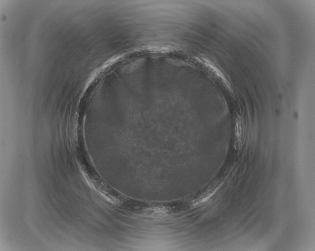 X0000081450492200701261916