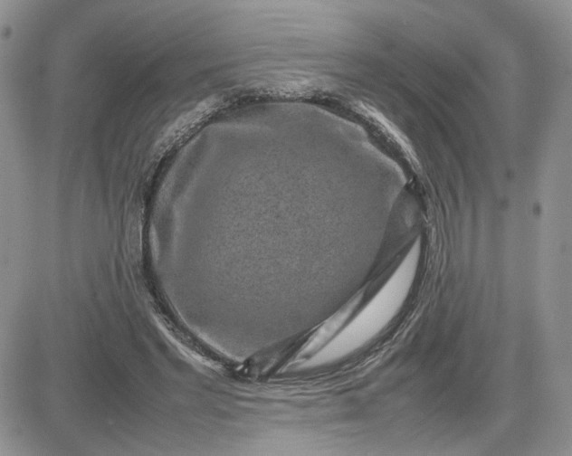 X0000081450493200701261916