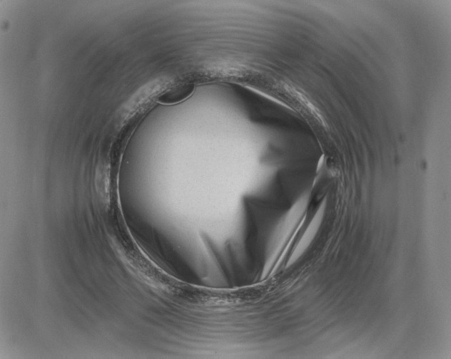 X0000081450494200701261916