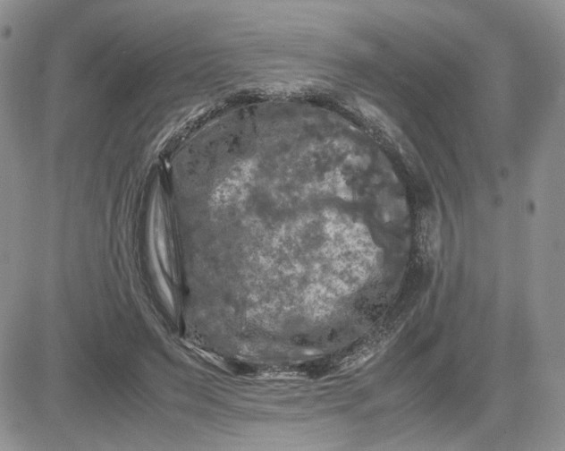 X0000081450495200701261916