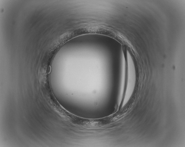 X0000081450497200701261916