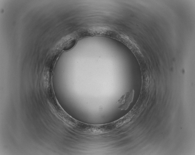 X0000081450498200701261916