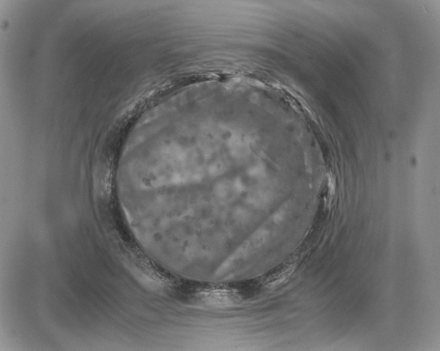 X0000081450499200701261916