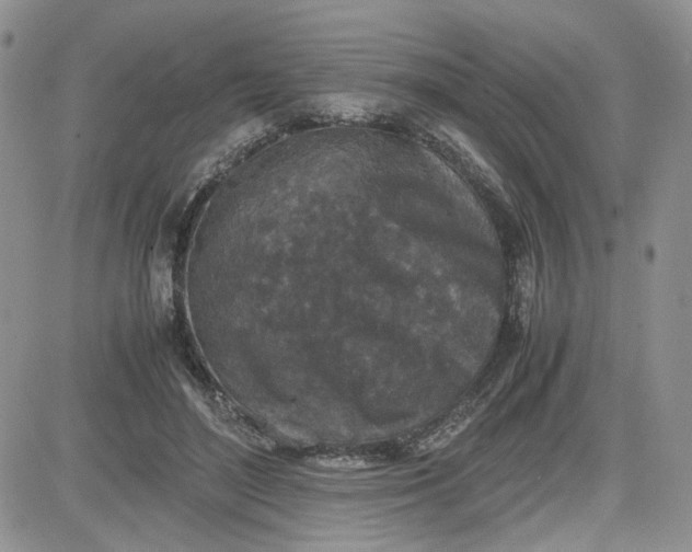 X0000081450500200701261916